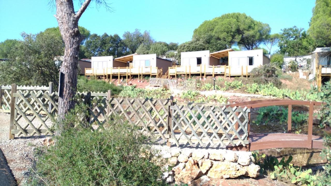 Mobile-Home لو موي المظهر الخارجي الصورة